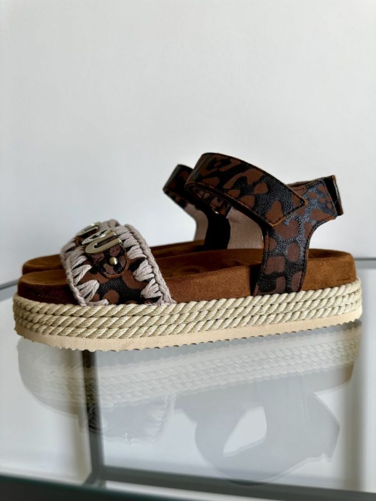  MARRON
