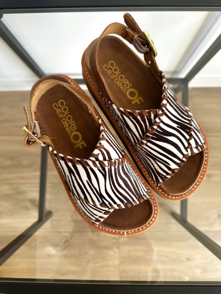ZEBRE