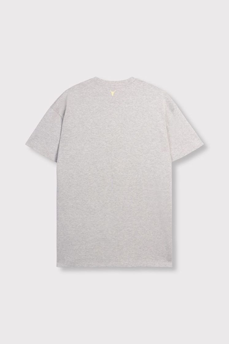  GRIS