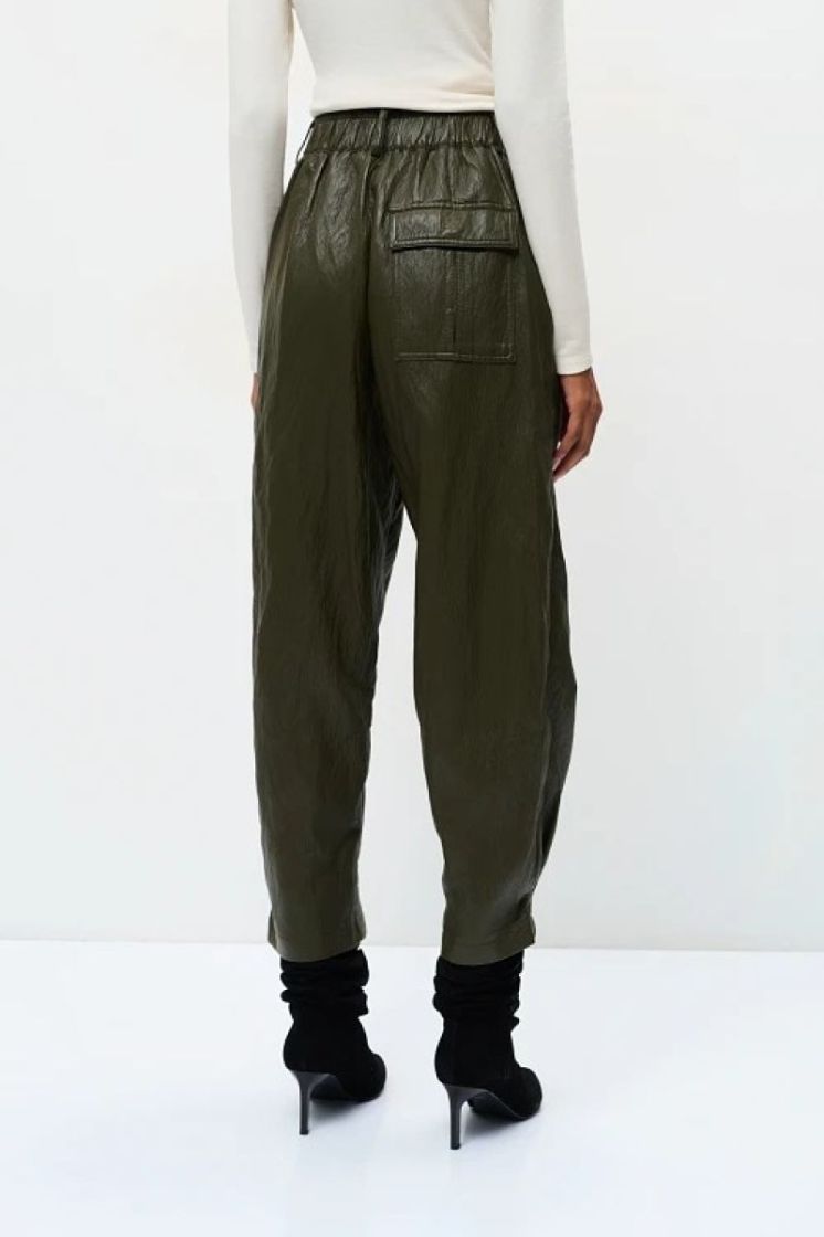 0056-0212007 Kaki